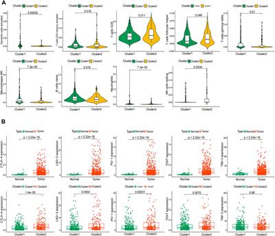 N6-Methyladenosine-Related Long Non-coding RNA Signature Associated With Prognosis and Immunotherapeutic Efficacy of Clear-Cell Renal Cell Carcinoma